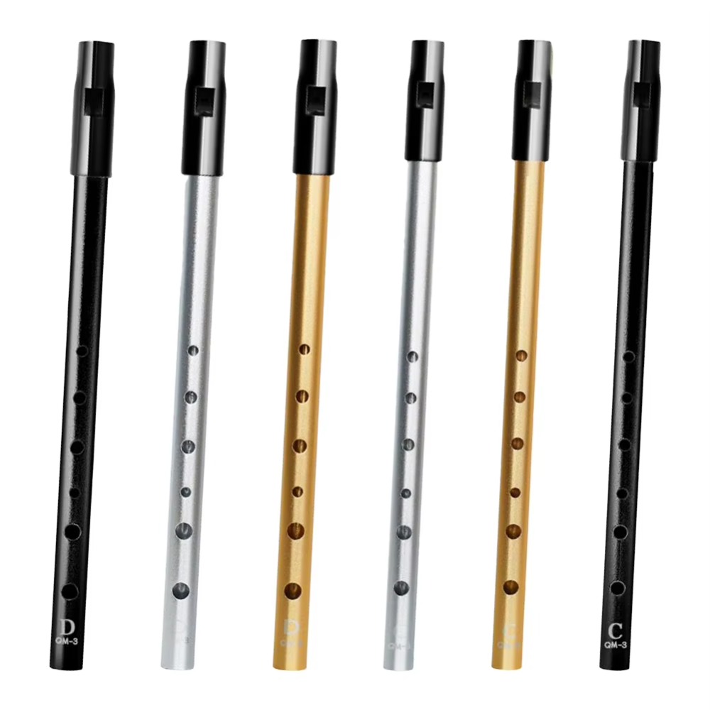 Musical Instrument Easy To Learn - C/D-Stimmung Irische Tin-Whistle-Flöte, satter Klang, leicht