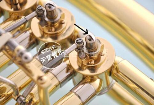 50 stücke neue Waldhorn Euphon – Musical Instrument Tuba Bewertung und Preis
