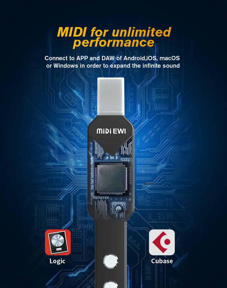 Upgrade Mini Digital Elektroni – Musical Instrument Euphonium Bewertung und Preis