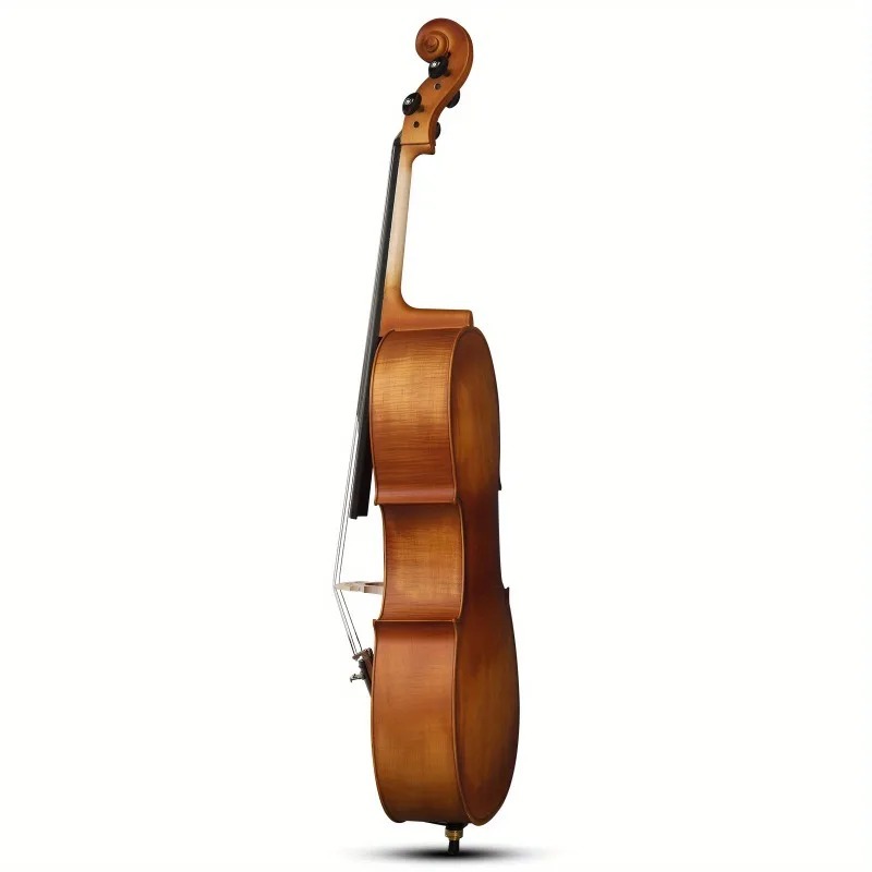 4/4 matte natürliche Farbe BAS – Musical Instrument In Orchestra Bewertung und Preis