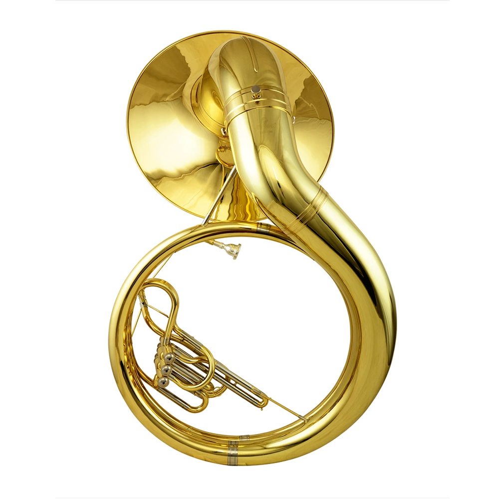 Fabrikgefertigte Messing-Musik – Musical Instrument Euphonium Bewertung und Preis