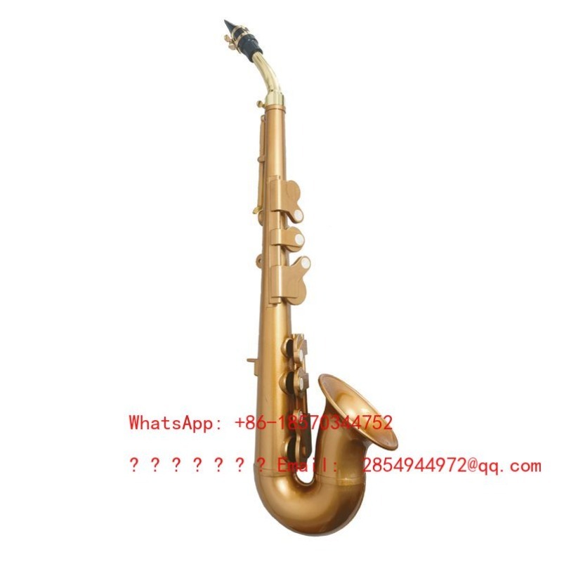 Harz-Saxophon Musikinstrument  – Musical Instrument Easy To Learn Bewertung und Preis