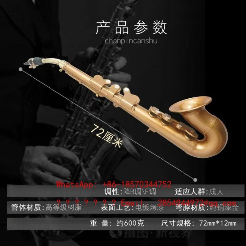 Harz-Saxophon Musikinstrument  – Musical Instrument Easy To Learn Bewertung und Preis