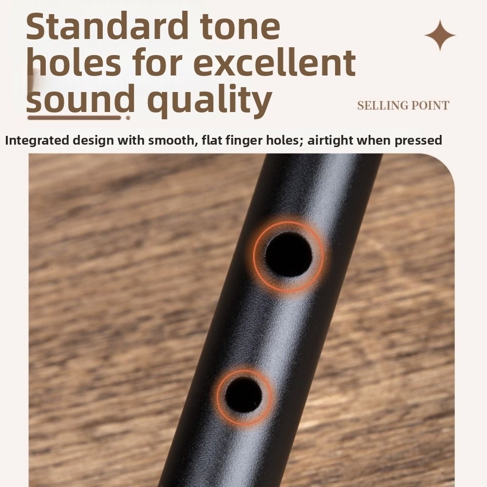C/D-Stimmung Irische Tinflöte  – Musical Instrument Easy To Learn Bewertung und Preis