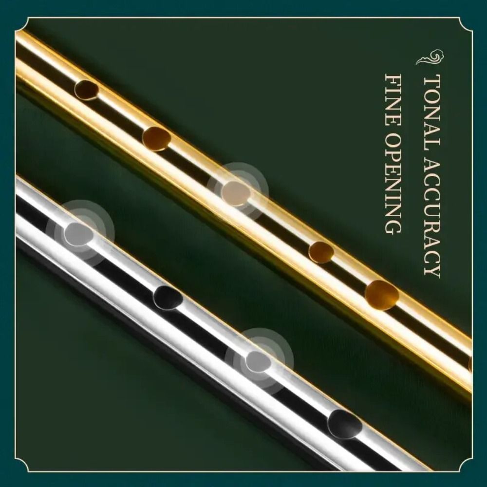 6-Loch C/D Irish Whistle Flöte – Musical Instrument Easy To Learn Bewertung und Preis