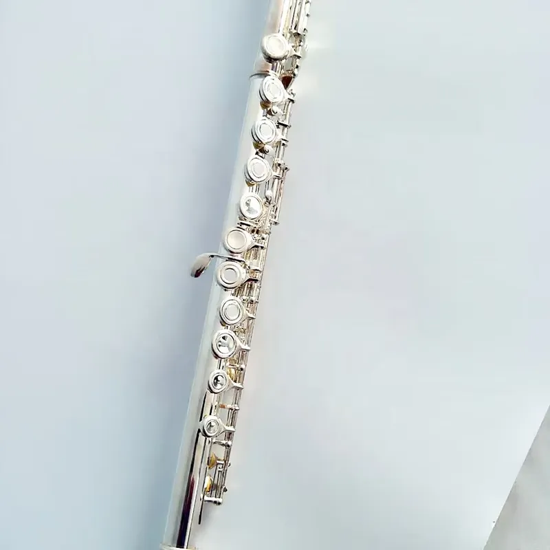 16/17-Loch Versilberte Flöte m – Musical Instrument In Orchestra Bewertung und Preis