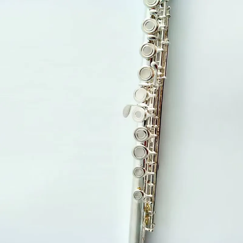 16/17-Loch Versilberte Flöte m – Musical Instrument In Orchestra Bewertung und Preis
